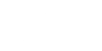 Soul Vision Portfolio Image